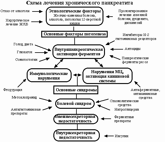 врач диетолог консультация киев