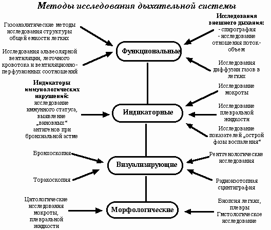 Методы исследования органов